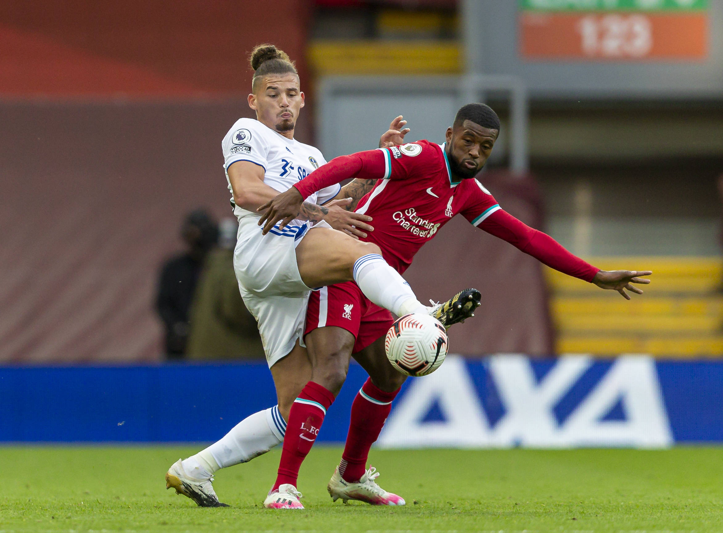 他们不仅在 他们不仅在